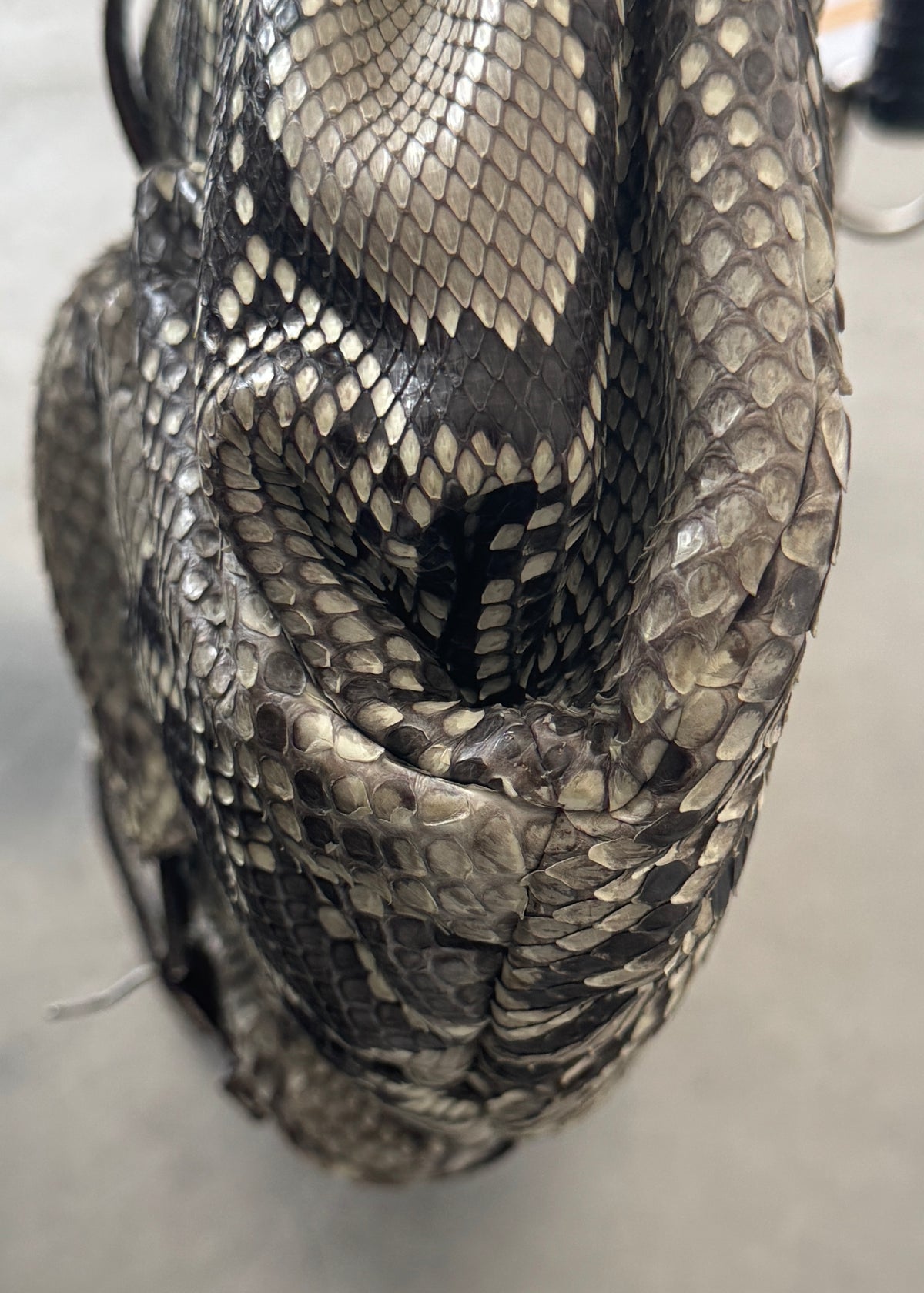 Yves Saint Laurent Python Leather Mombasa