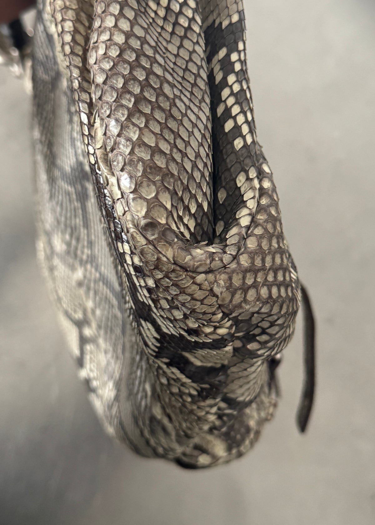 Yves Saint Laurent Python Leather Mombasa
