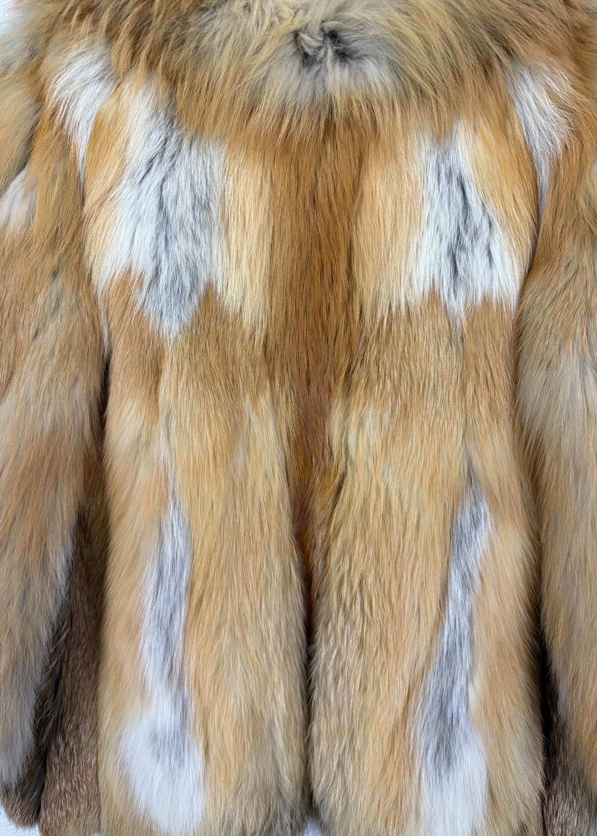 GOLDEN FOX