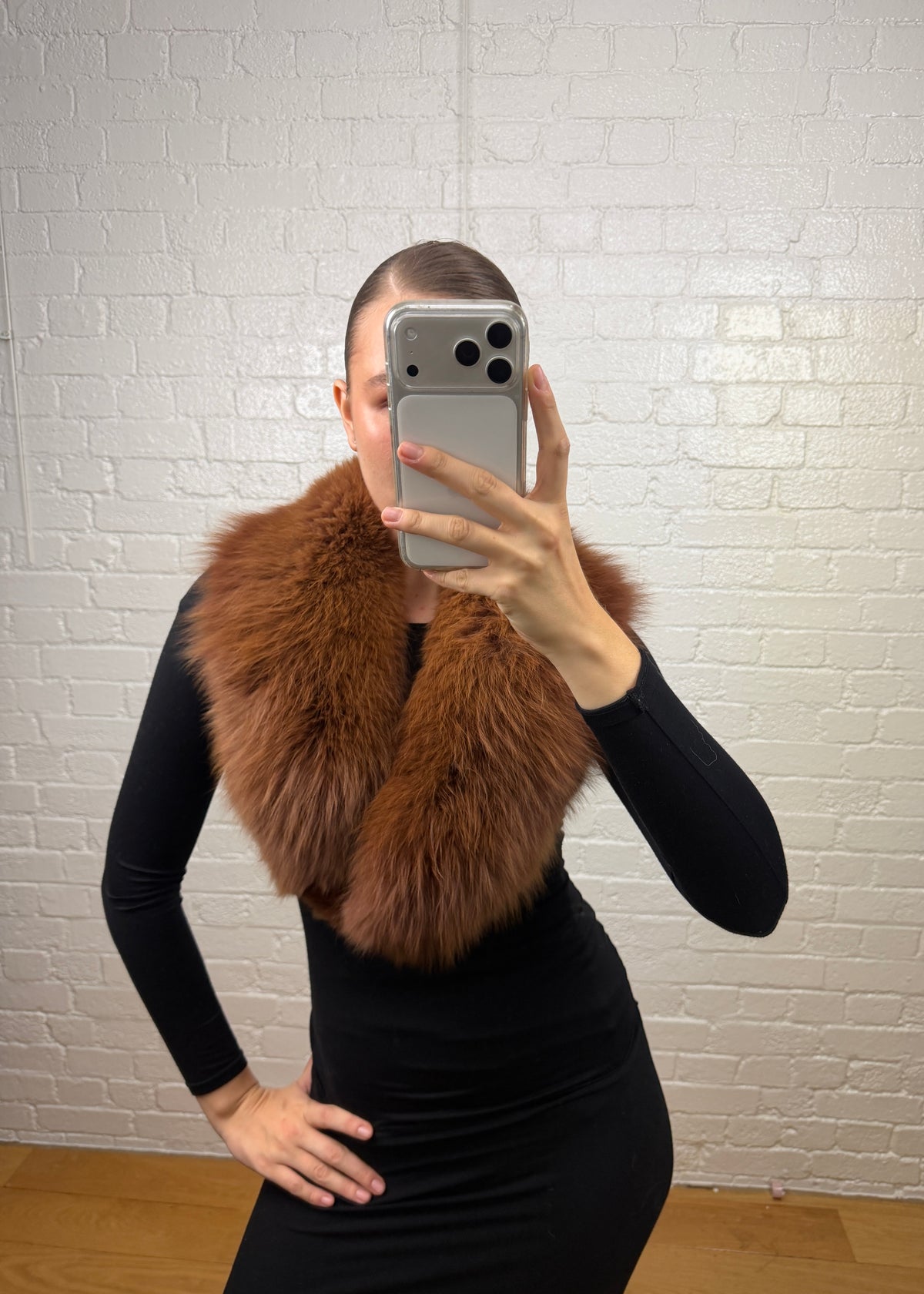 BROWN FOX COLLAR