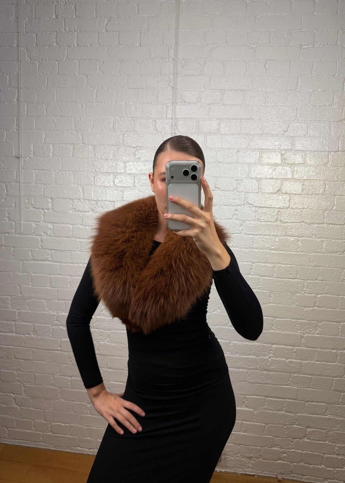 BROWN FOX COLLAR